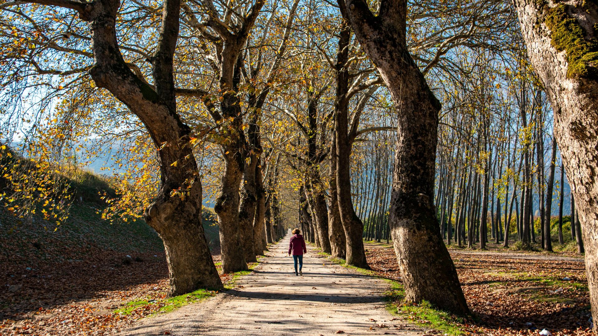 Cuidado emocional em ambiente acolhedor